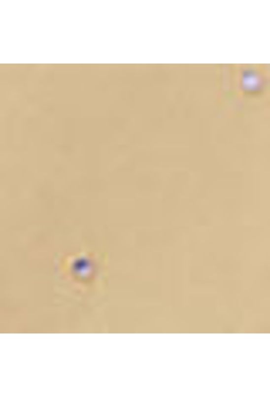 image-3bcd22daaef54b71837b990aa0522a98