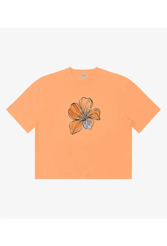 image-fa68cfe8dbc14dc69fedd9623bf1572f