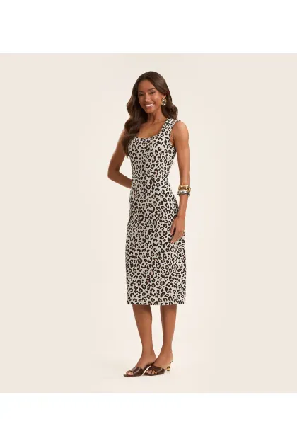 image-e7c7f370c88b40ce8954425bd2c3554a