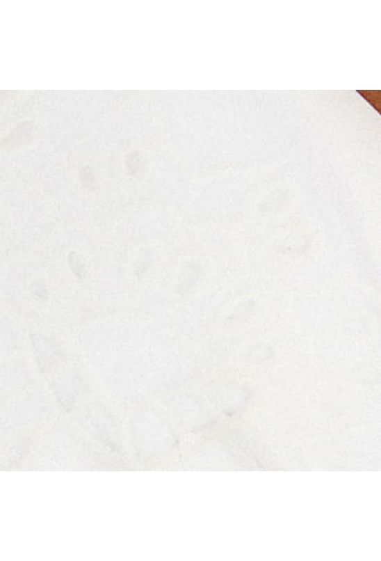 image-a2c64e57cc1c4abb8371e546b511afcc