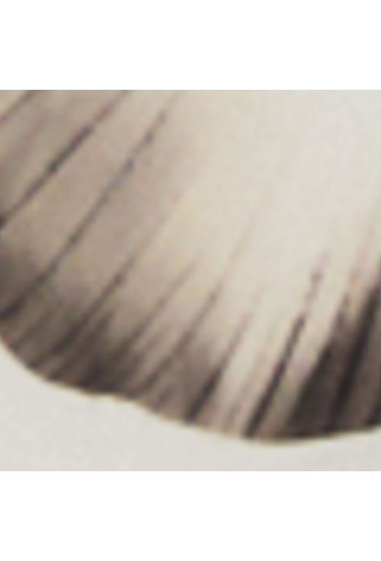 image-c4c96b65b0d24481acaa3f2731889808