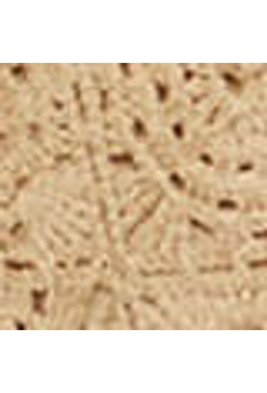 image-4041e64115f94884b37e9f687f85d2e2