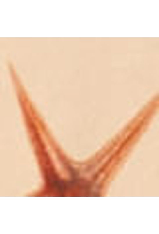 image-7dc83f239d2d4250a04b65c14c2859fc