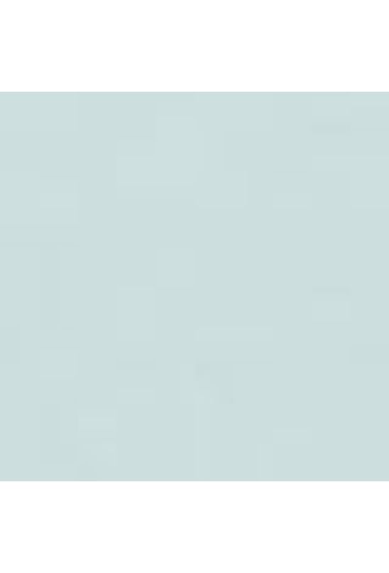 image-a218e7e640774d1788015f058a88110d