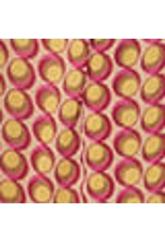 image-d1c46f0c85864f39aaef6d64dc870a7b