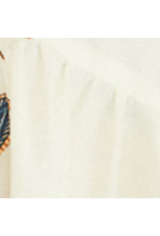 image-54ce93049c8b48139457221fc520676c