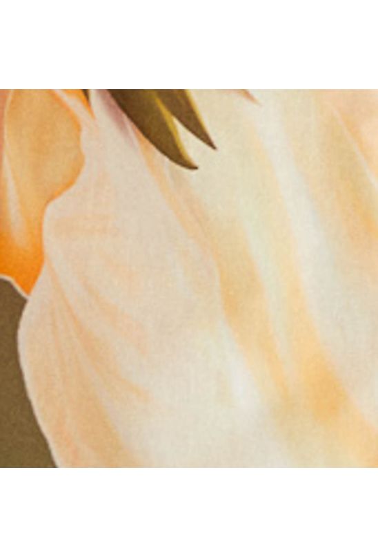 image-d7196120ca2f40b085109037ade612b5