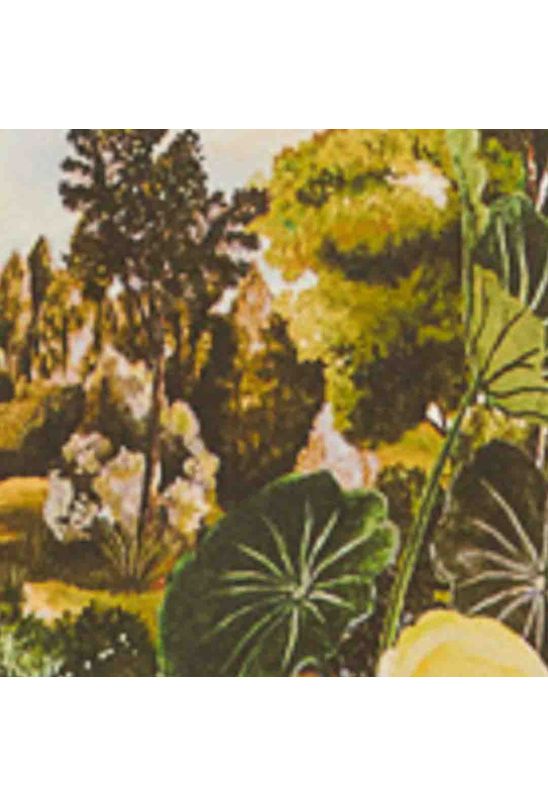 image-ceaca983857d472f961576a2f6ebb579