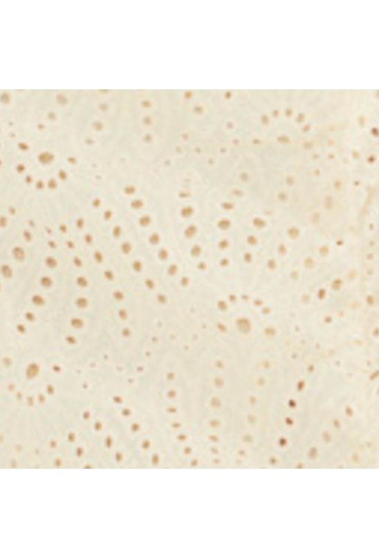 image-58e33f2d72484064a9a9245cc4086889