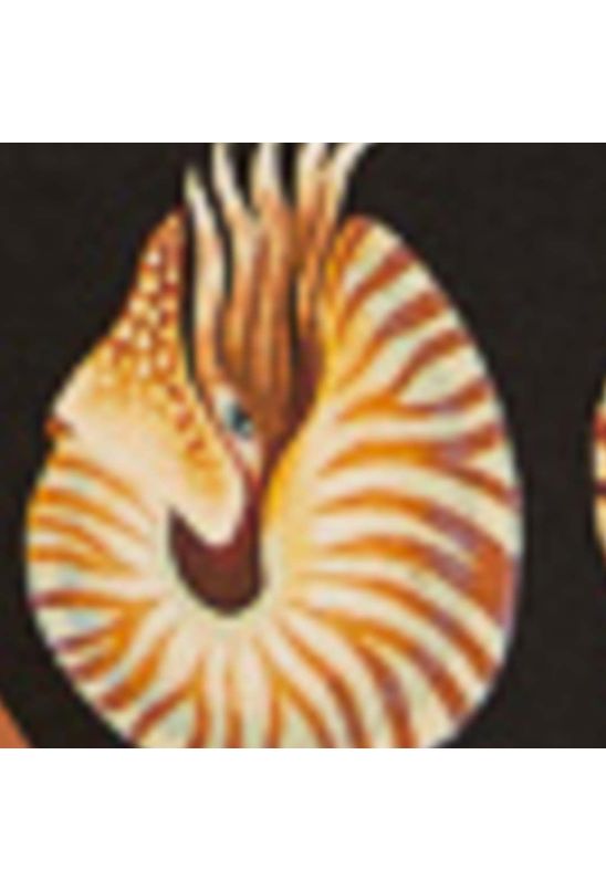 image-4aae5378397e497da7cebfdda17ba117