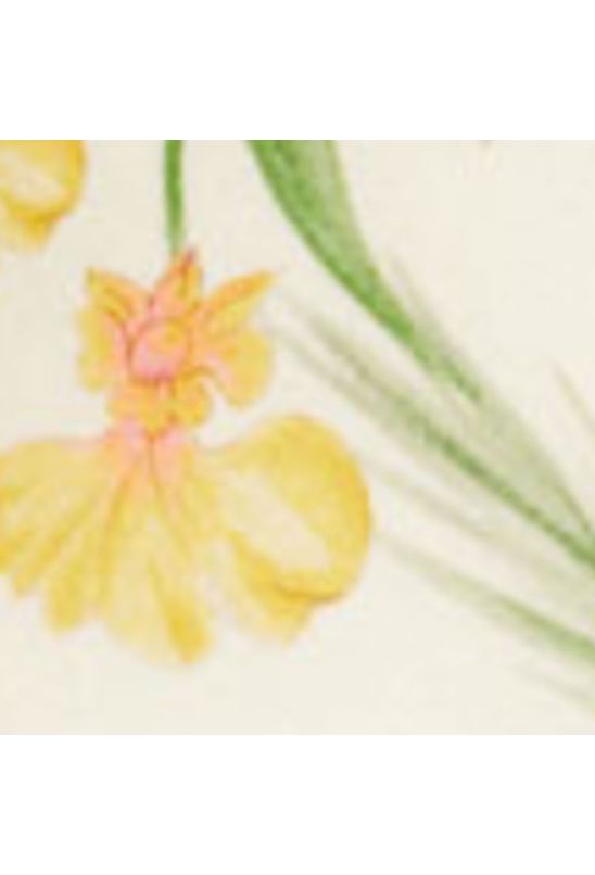 image-3040bb3c42094c6290074ea70f424ea9