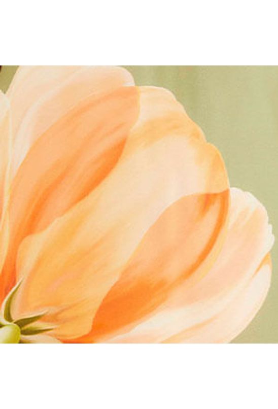 image-5d485cdd6360440c94e420954d962ffe