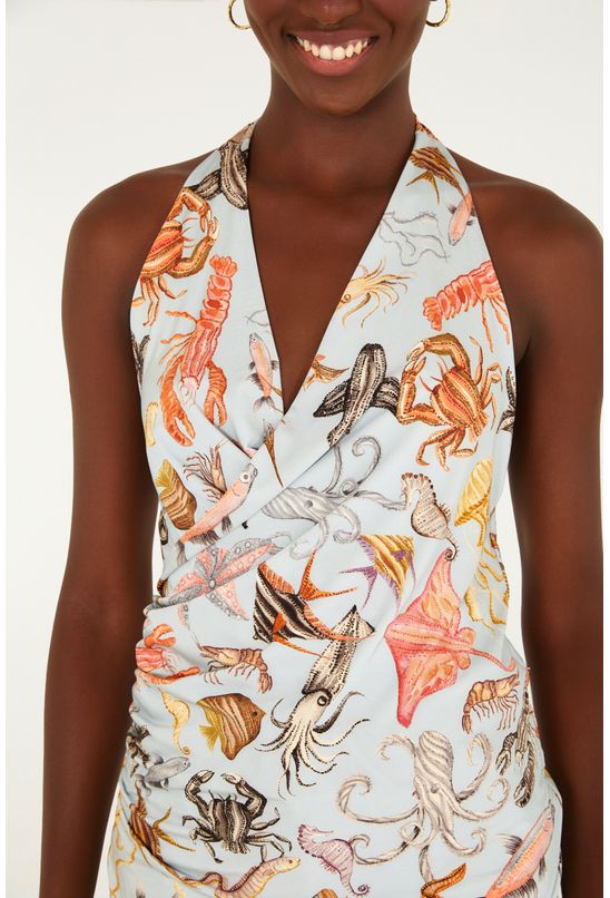 image-207d5bb88f084c2a91ee5d96df036d03