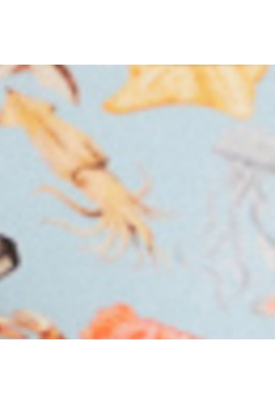 image-77ab672d171b4790a576a46d49bf3177