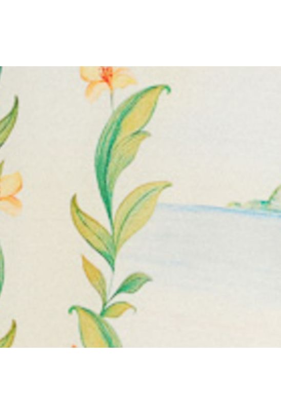 image-8e770300e6d6429780e833449d48ae07