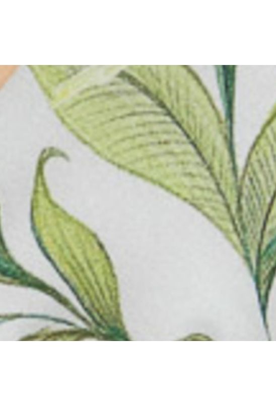 image-7a4f7cbbad9841d0b67956b7abcc65b9