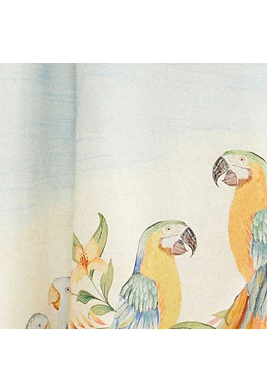 image-8a69f29a3dab4d368c570a4c860ded21