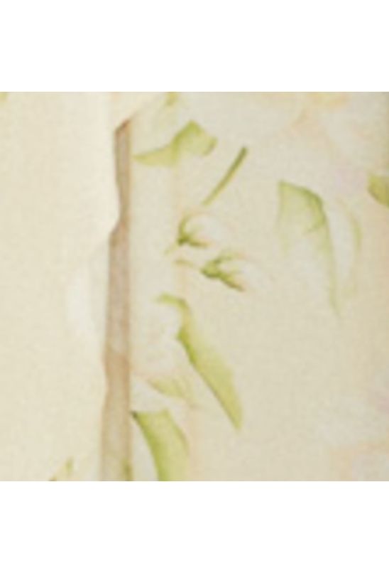 image-20064af119c44581ae49f316417f3acf