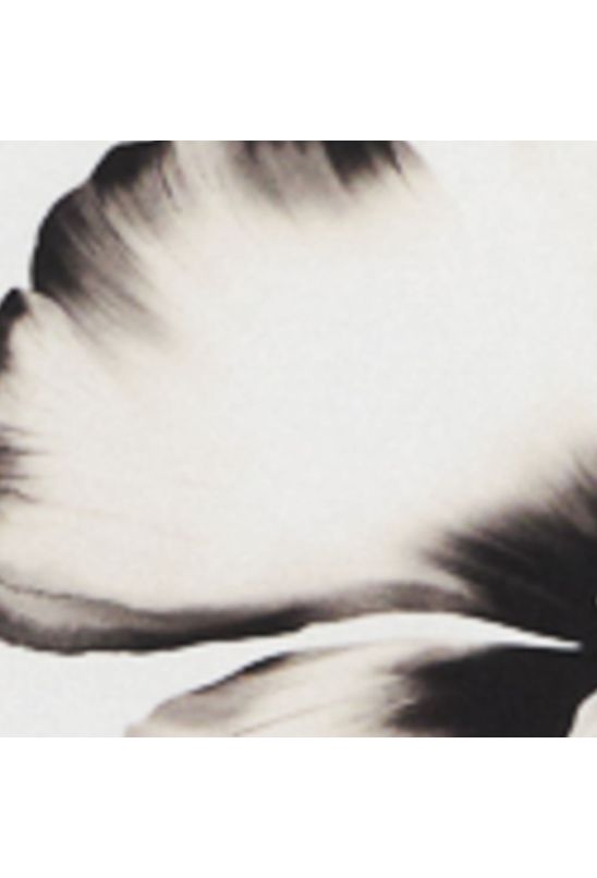 image-37c3f90370654a498ffc5d1b7bafcb47