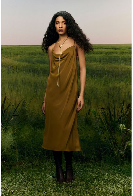 image-8db7e8963e774875952fa4c66ef93463