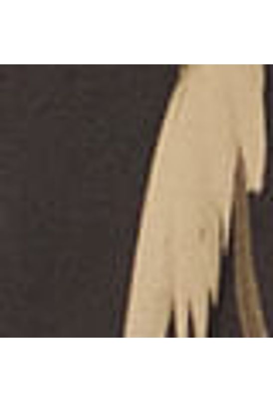 image-36bca7a95cd041f297aa7bc6e0c5cba9