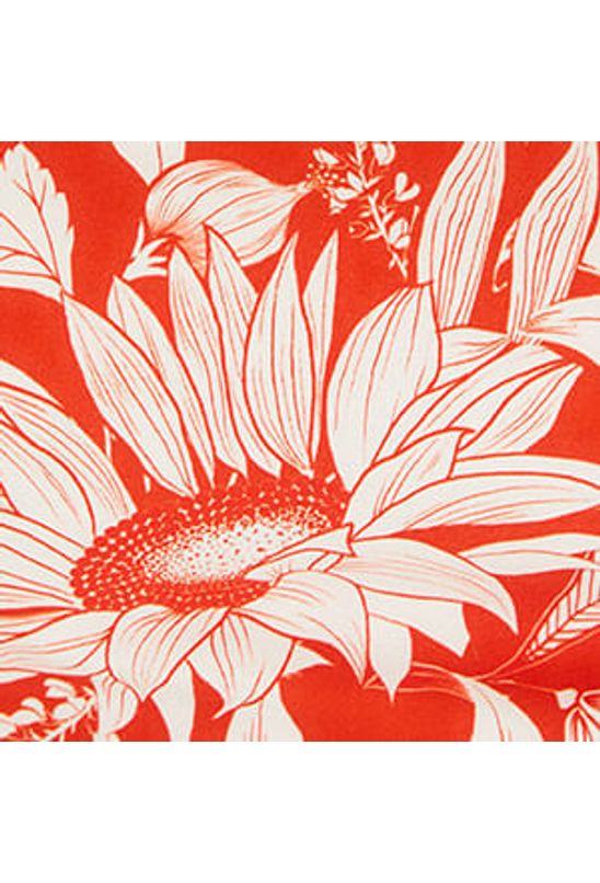 image-701070a2794a4afeba774ec360dad5a1