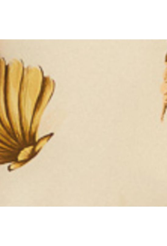 image-31134b2d85e246beb2bb28a68acf8b66