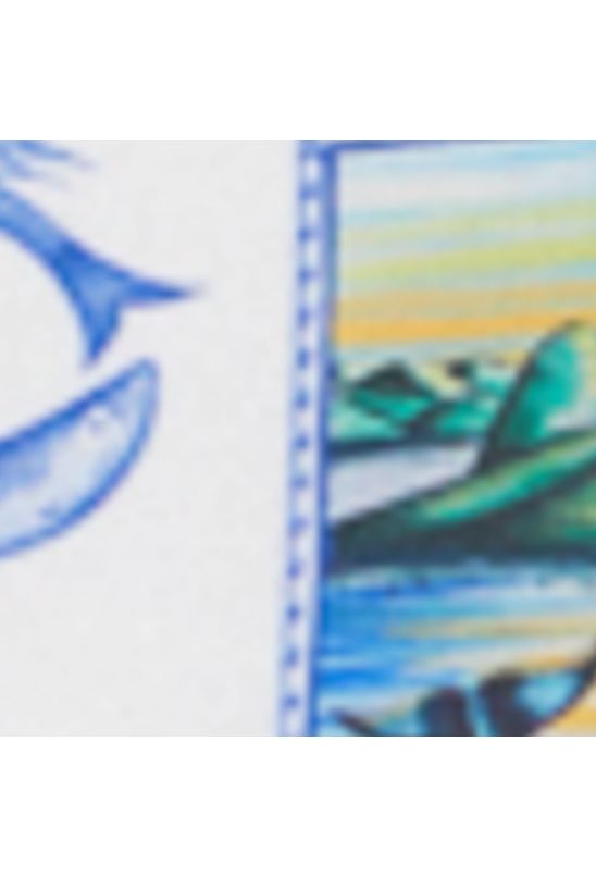 image-3597a5b5859e4a038729f362a49d6fe4