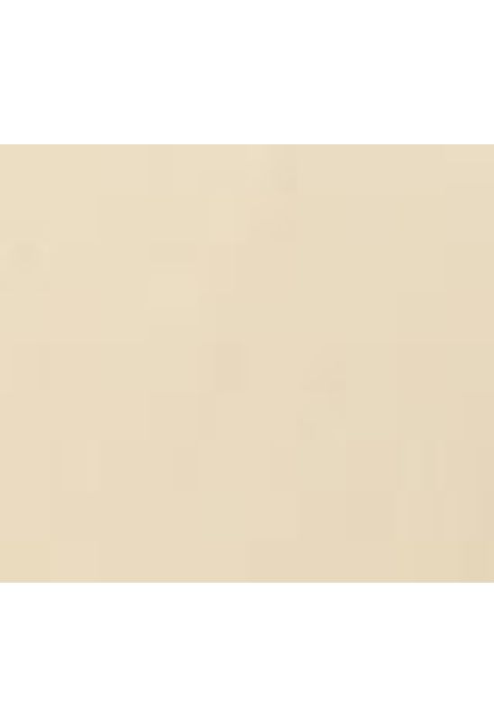 image-acc57d169fba478bafc65eaaeaee6f58