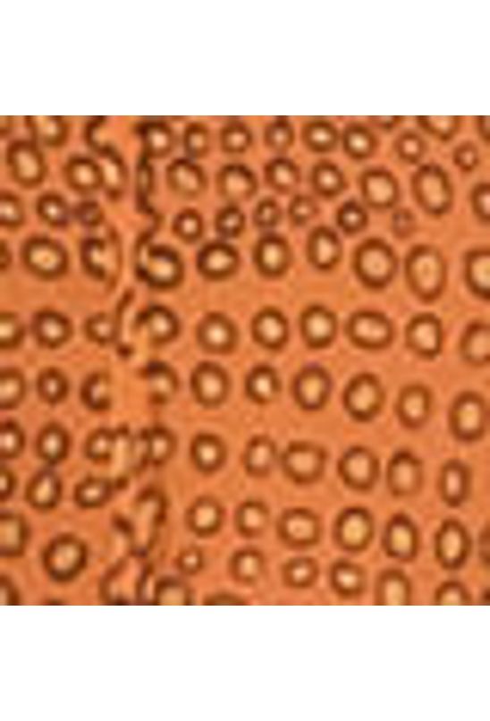 image-d8f10a51051f494d9d5289a9830e2f5b