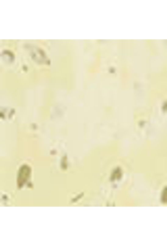 image-d683f619cdf8411b8ac32d75e07165a5