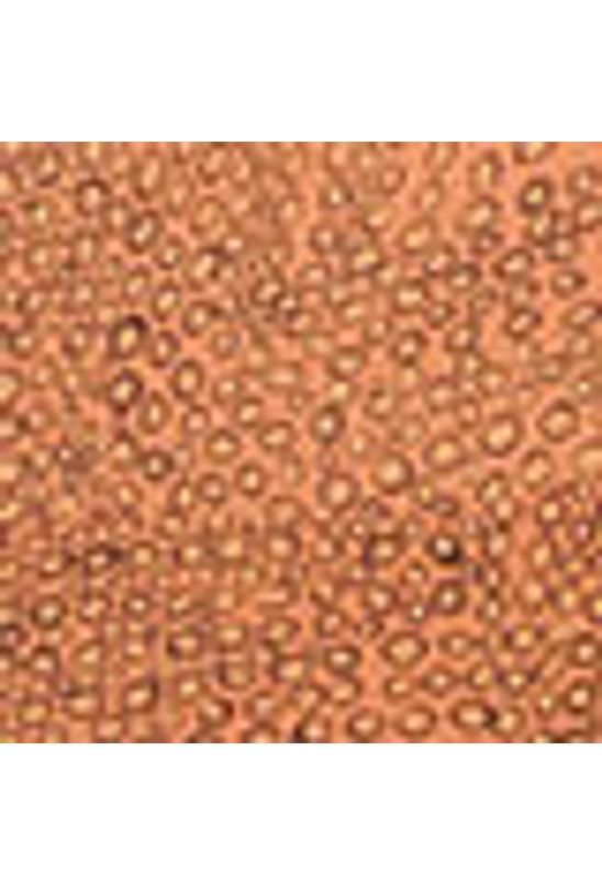 image-77cf47c71e6544a9ae45195a055c7e42