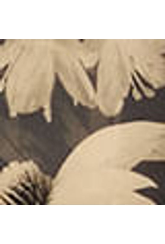 image-c6ffc0d232cd4dfa9fda70ecf33fb0bd