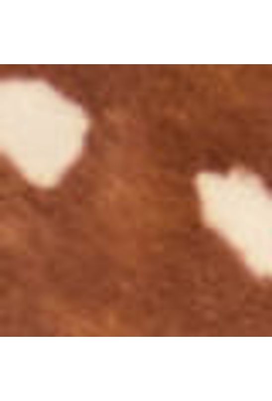 image-935769c210fd488bafe8d6a436613ea2