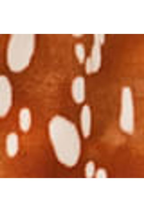 image-f7700f895c534369bb44d98a053ec1ad