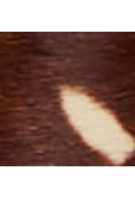 image-214e2d0b094f42aa98c2f9caeba52009