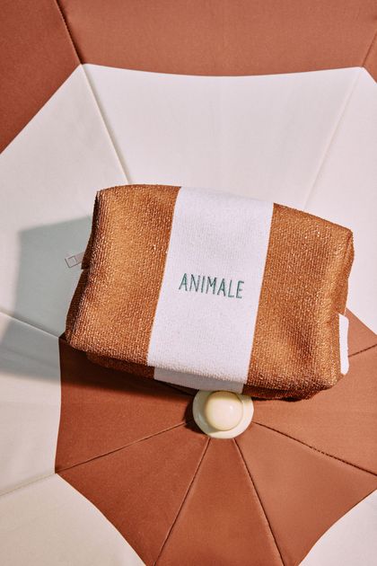 image-02907564a4954727bf7656e8dae8434a