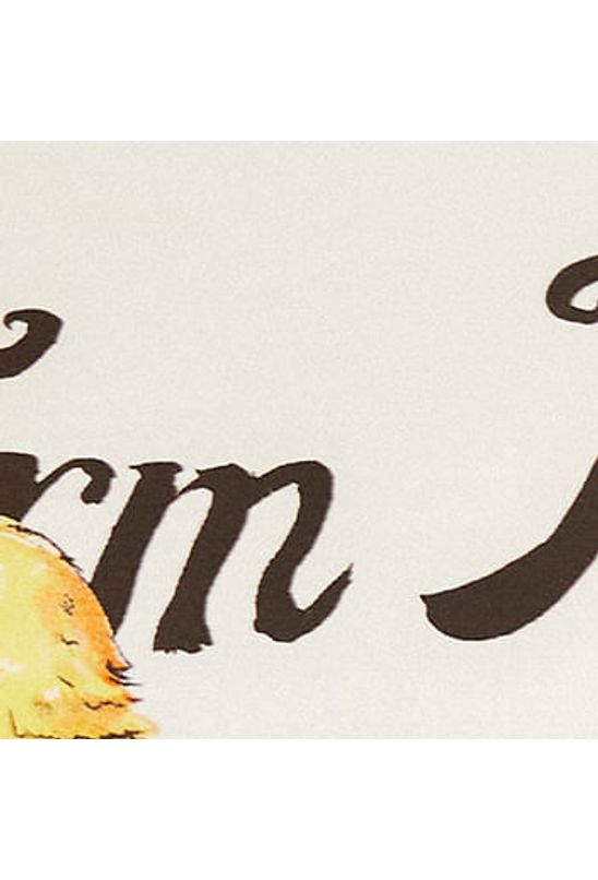 image-02d748a6ec0341d2aa5e04f307da4908