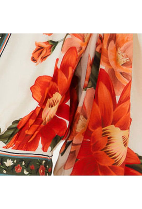 image-4d91eb6cfac24dea8bc44bbb83138daa