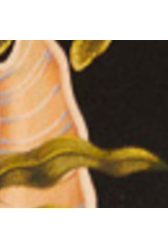 image-2f4308bae8be48089ac0750d23c24442