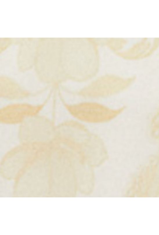 image-841555d0897d4917a2fa3a4bf001720d