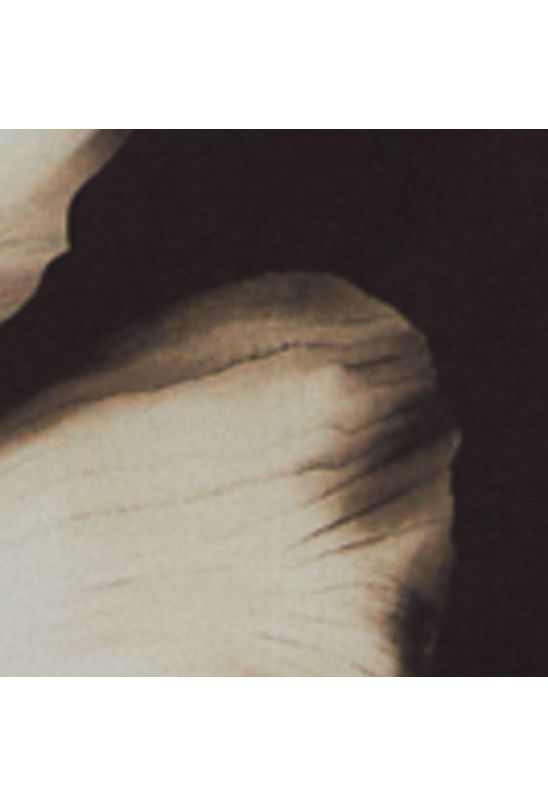 image-d2c196a1db204fe4b3f2c053e9349737