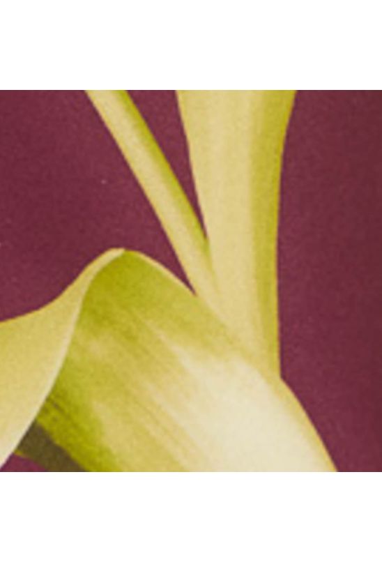 image-14928307ecaf4266b63651764a66fe8b