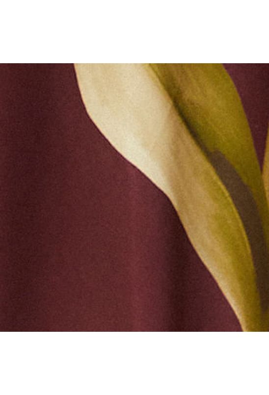 image-f40ff7c33f344777bc03bd0ce361f381