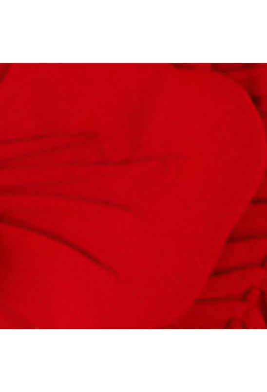 image-179229e536f74a439cc2c1daad665acd