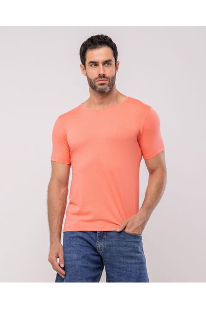 image-97df4c722a034730a3ab6f46cc911c79