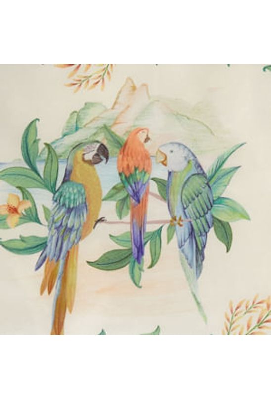 image-a07d2ebdc55d436f91fb3fcb37ae0515