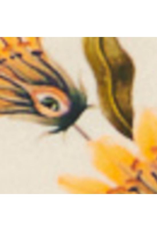 image-76e9a13dc4f54ca5b2af14ee354946b6