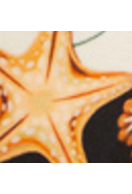 image-7689b01eb60c4ef7ac7ce0d64364a3fa