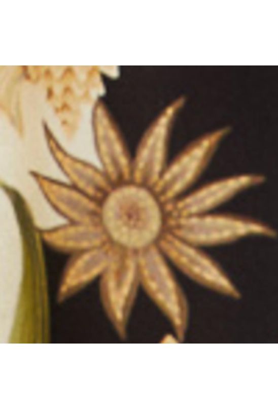 image-5a8e3139ecb24343bca869bf59adeb98